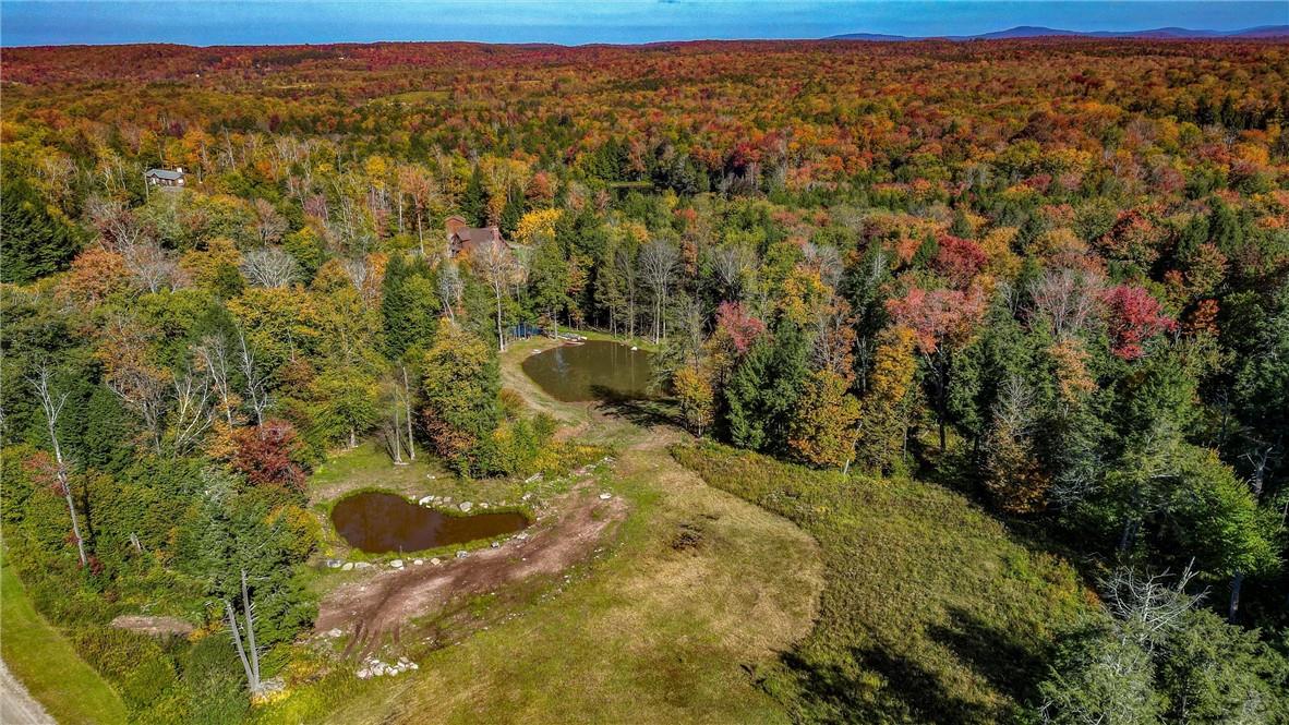 Black Bear Crossing, Parksville, New York image 5