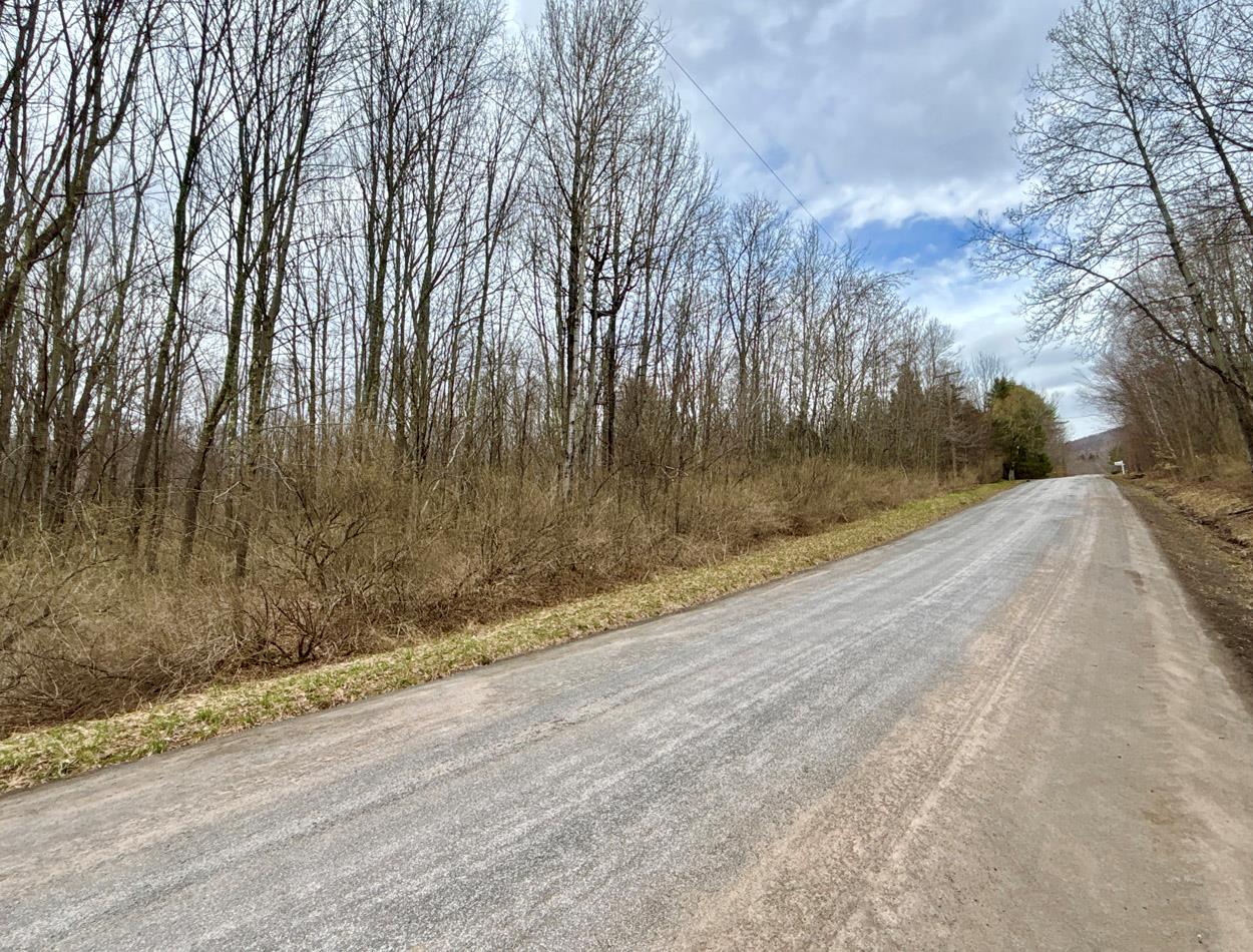 George Lawrence Road, Denver, New York image 25