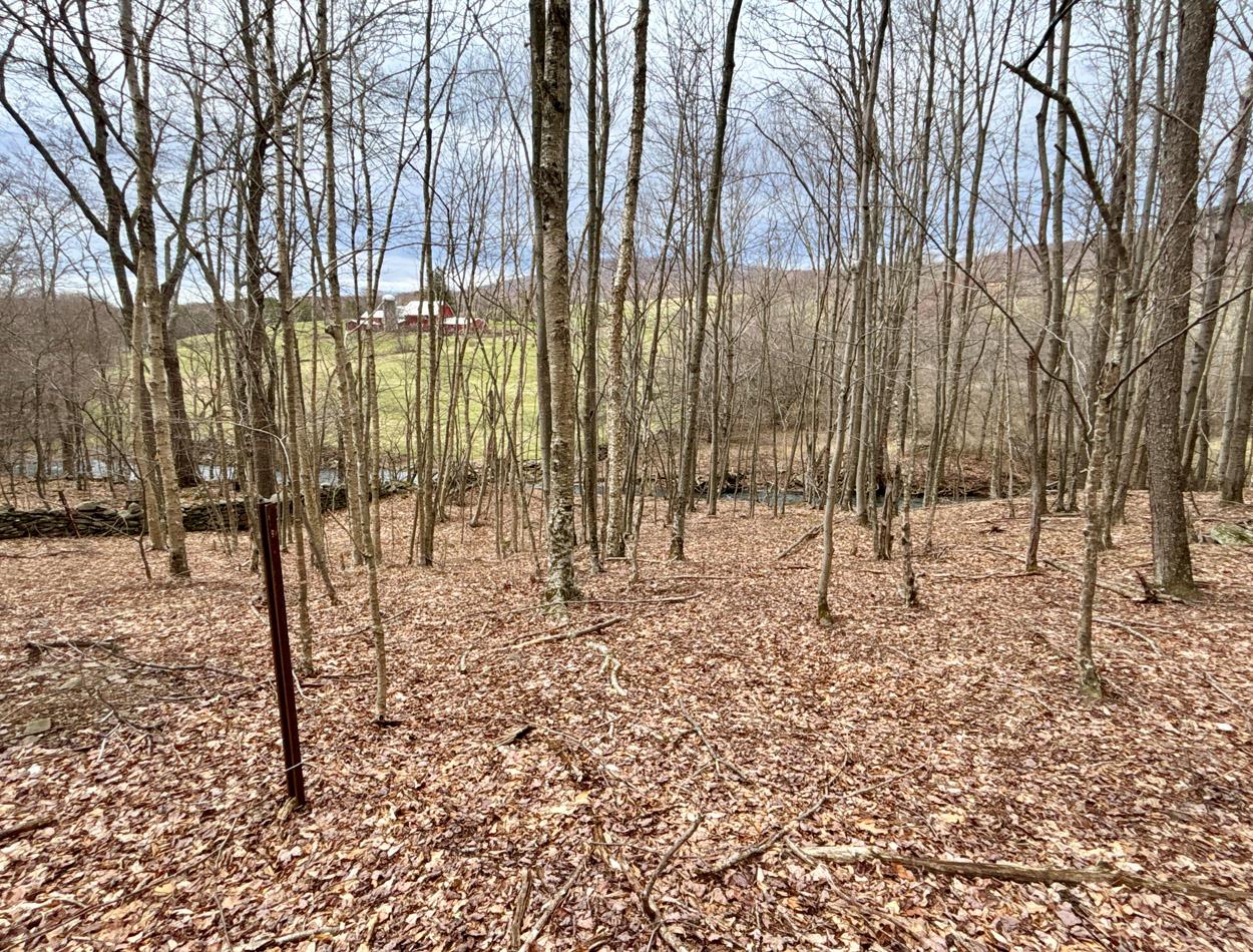 George Lawrence Road, Denver, New York image 23