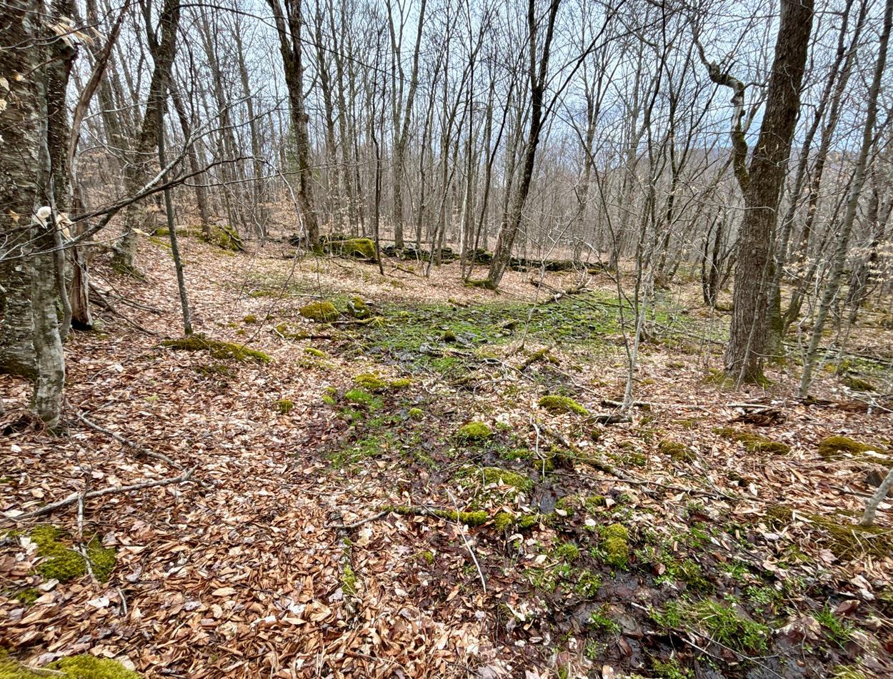 George Lawrence Road, Denver, New York image 10