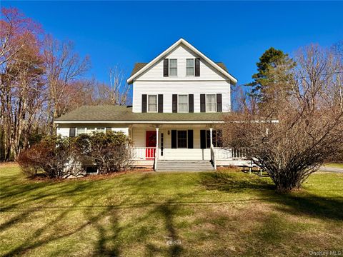 110 Eldred Yulan Road Eldred NY 12732