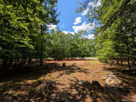 Vacant Land For Sale - Ballard Road<br/> Bethel, NY 12720