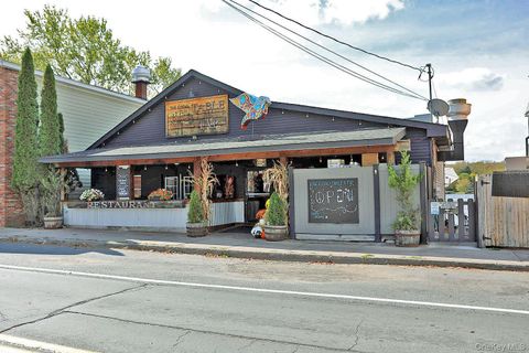 3 Horseshoe Lake Road Kauneonga Lake NY 12749