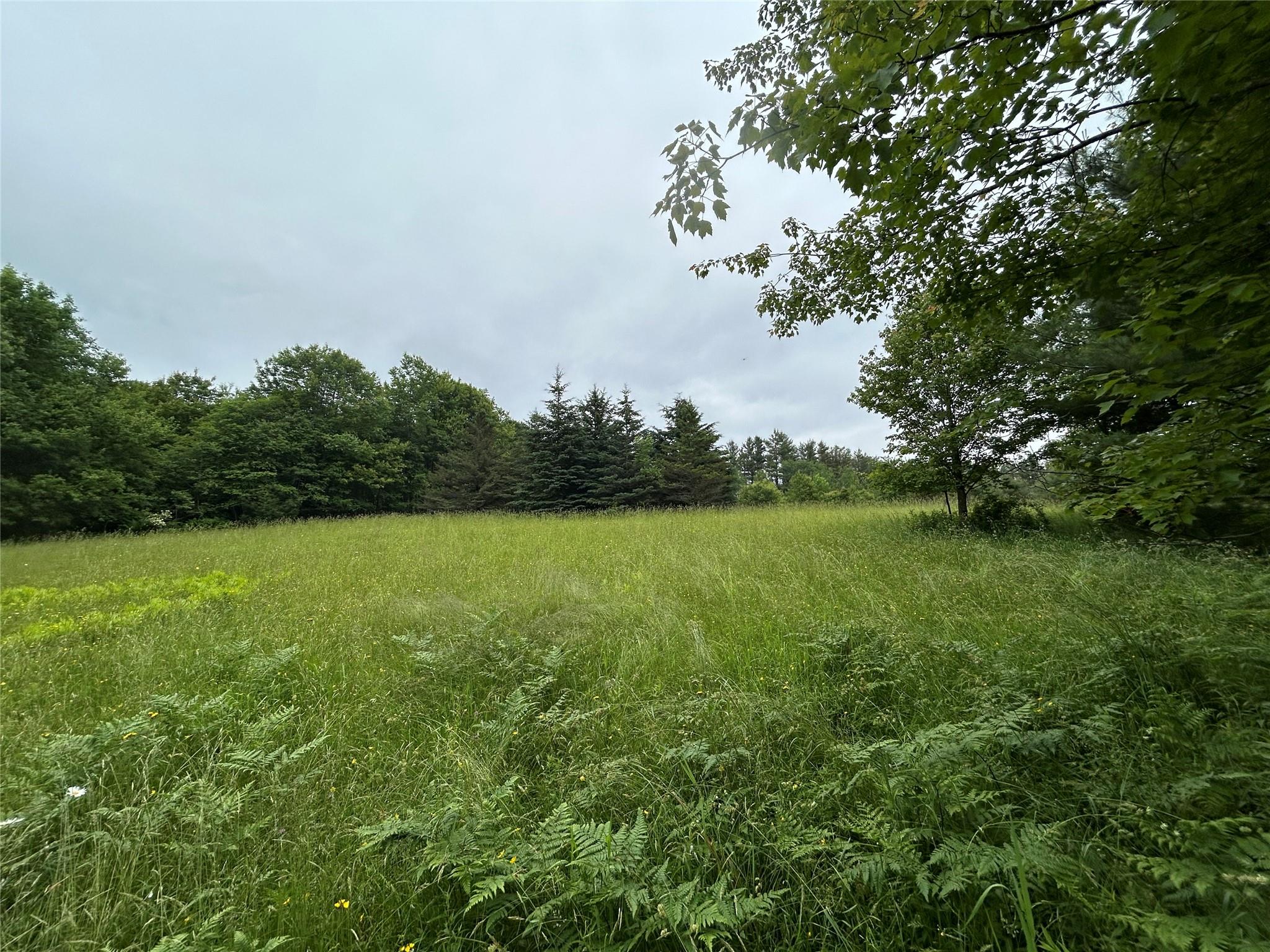 Photo 1 of County Hwy 28, Long Eddy, New York, $120,000, Web #: 877780
