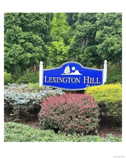 5 Lexington Hill 1 Harriman NY 10926