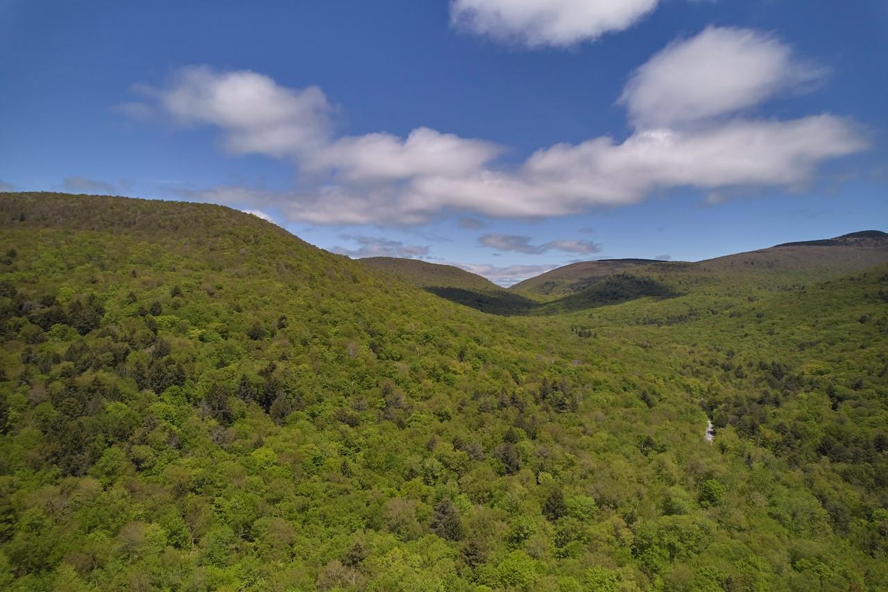 1636 Frost Valley Road, Big Indian, New York image 28