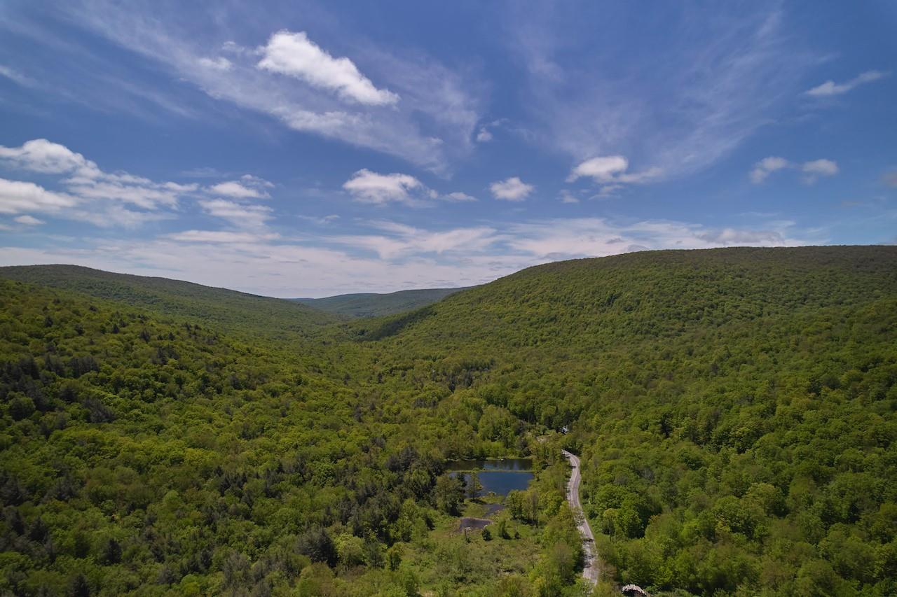 1636 Frost Valley Road, Big Indian, New York image 27