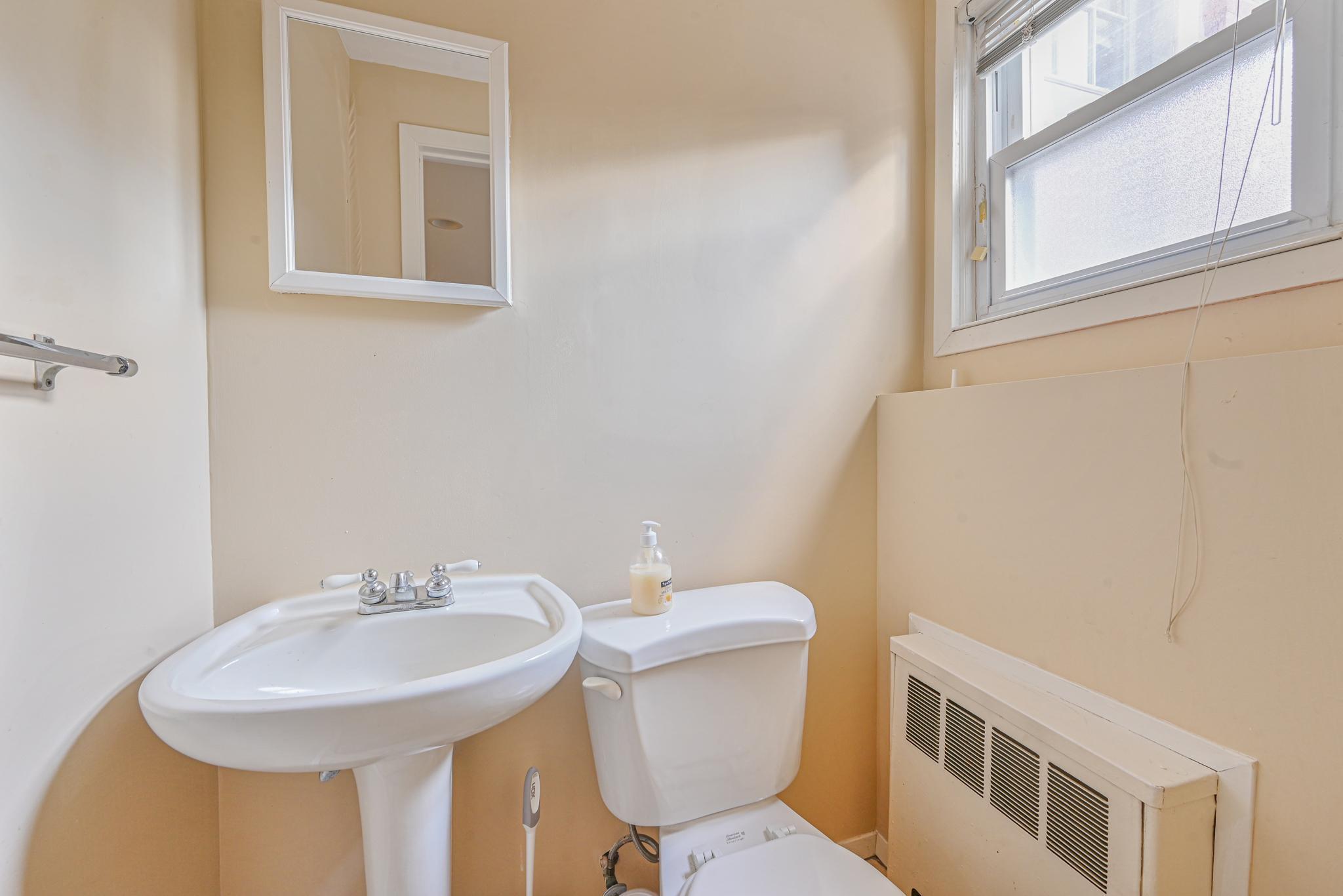216 Birch Drive, New Hyde Park, New York image 24