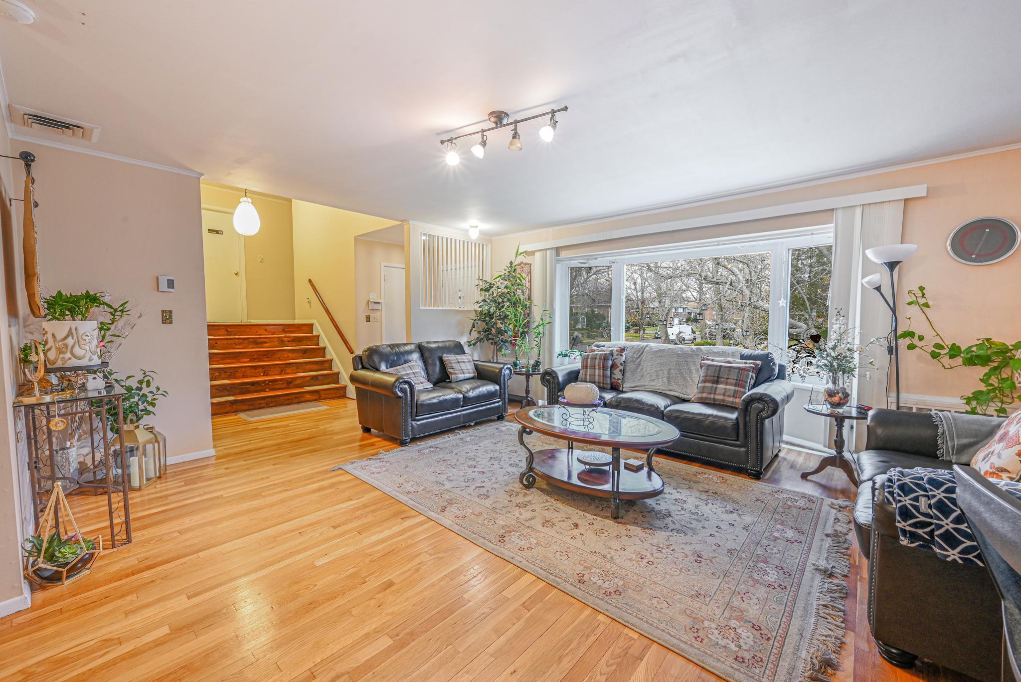 216 Birch Drive, New Hyde Park, New York image 5
