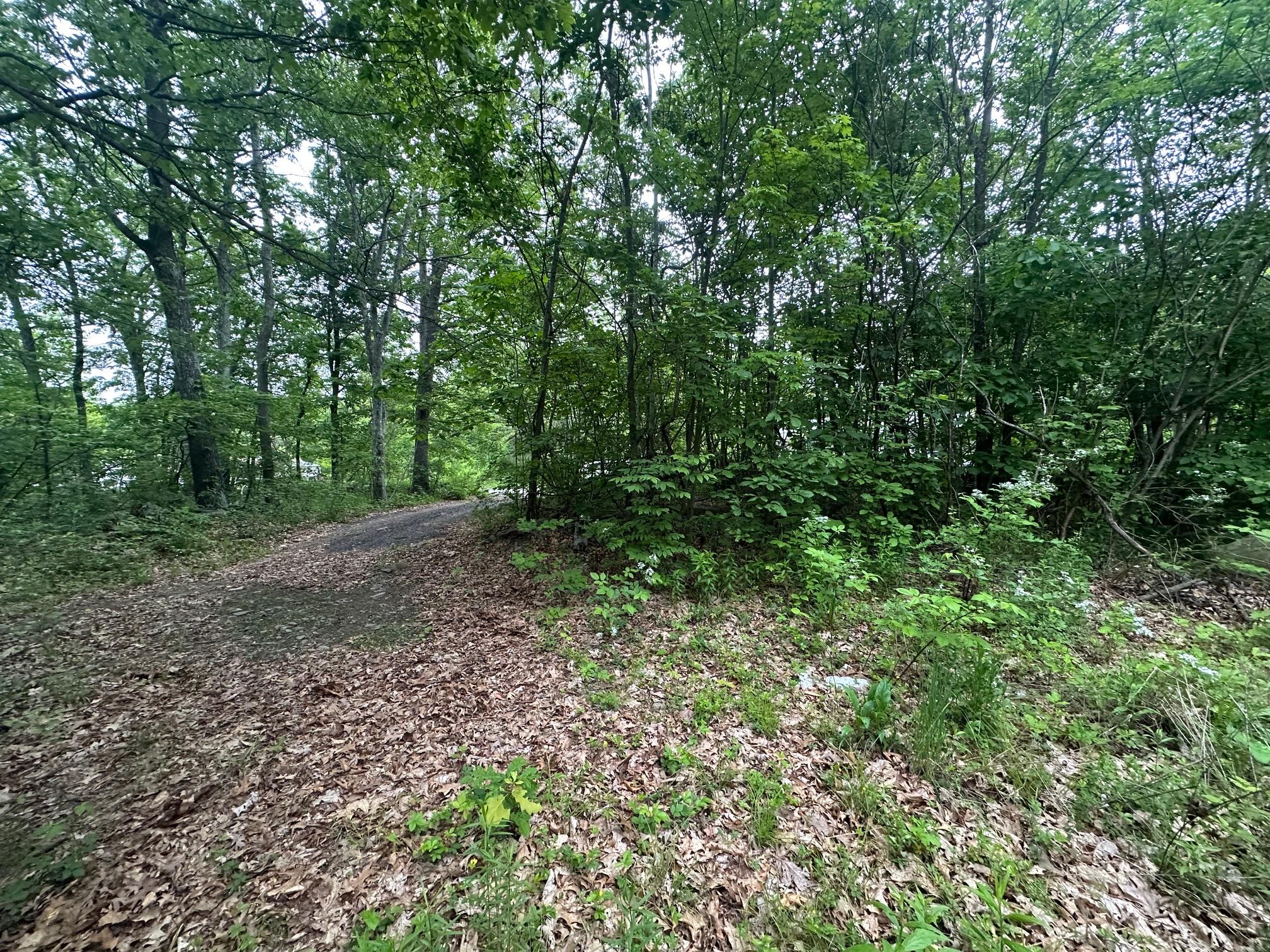 47 Krystal Lane, Wallkill, New York image 3