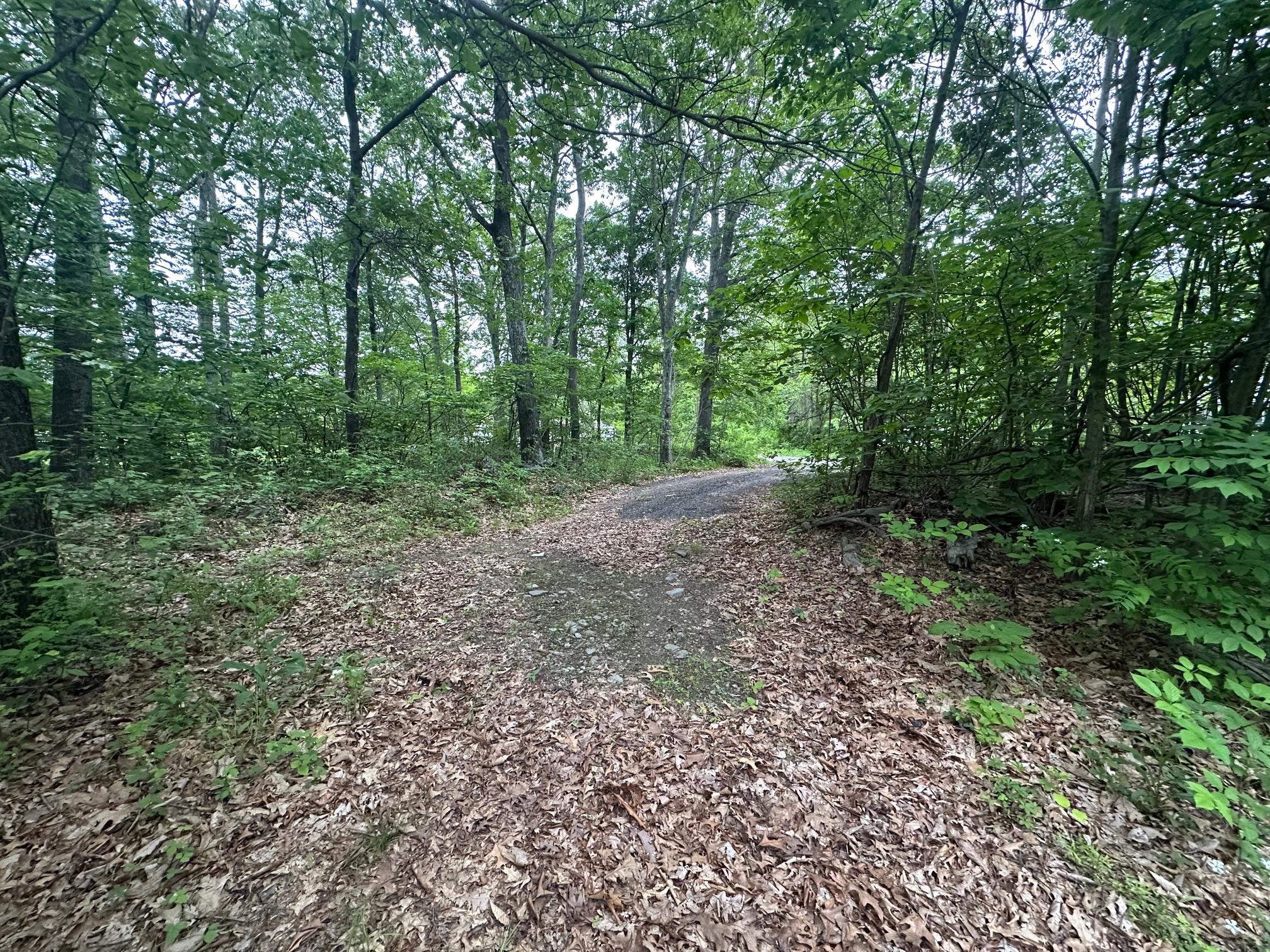 47 Krystal Lane, Wallkill, New York image 4