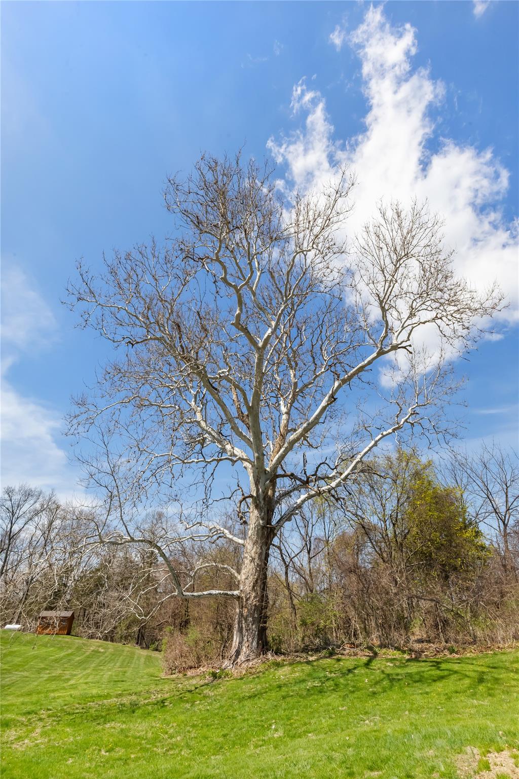 15 Harrigan Road, Hopewell Junction, New York image 37
