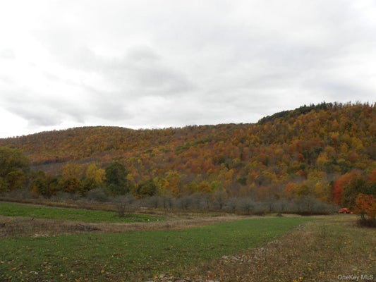 GREGORY HOLLOW ROAD, HAMDEN, NY 13782 - Image c96bb7eddf49a74e25d62a7bfa4ff7d5/3500903817