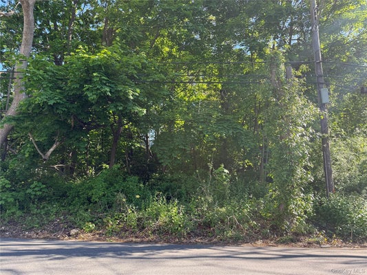 CENTRAL ISLIP BLVD, RONKONKOMA, NY 11779 - Image c9b4a482b02408af2ac10ff9c5deef8a/1157293568