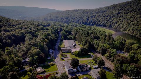 7 Depot Long Eddy NY 12760