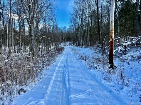 Vacant Land For Sale - 266 Pitts Road<br/> Chatham, NY 12136