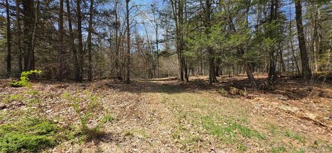 Photo of Lot 12 Tyler Road, Cochecton, NY 12726 (MLS # 989599)