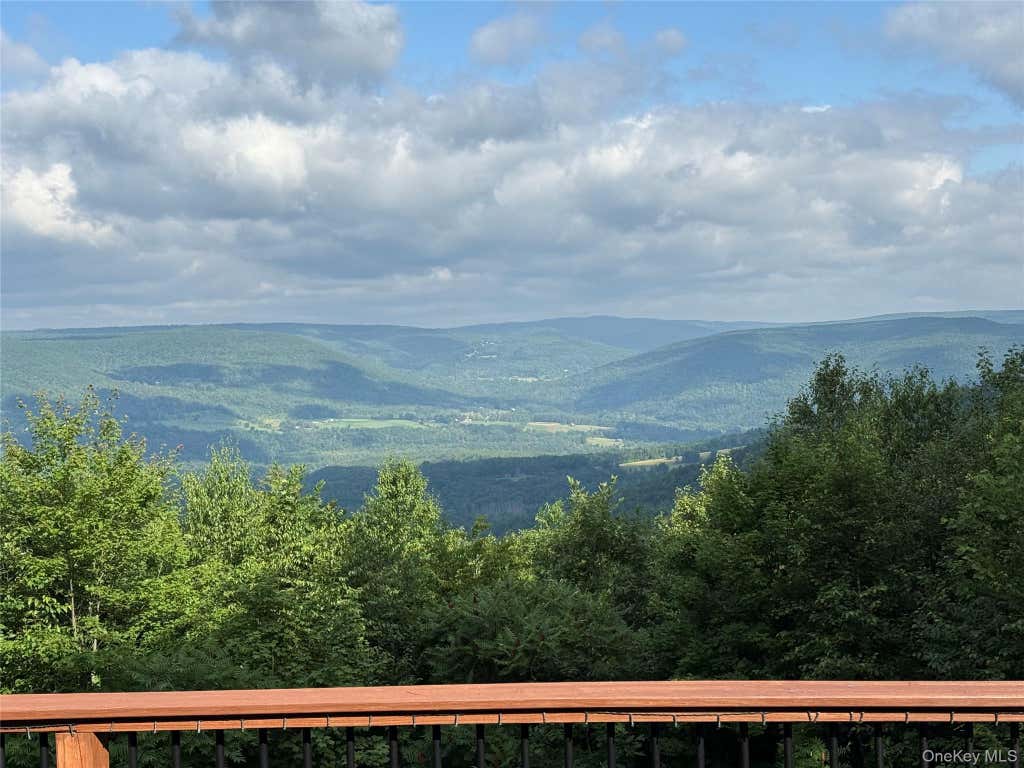 Photo of 415 High Pine Meadows Rd, Middleburgh NY Road, Call Listing Agent, NY 12122 (MLS # 1033471)
