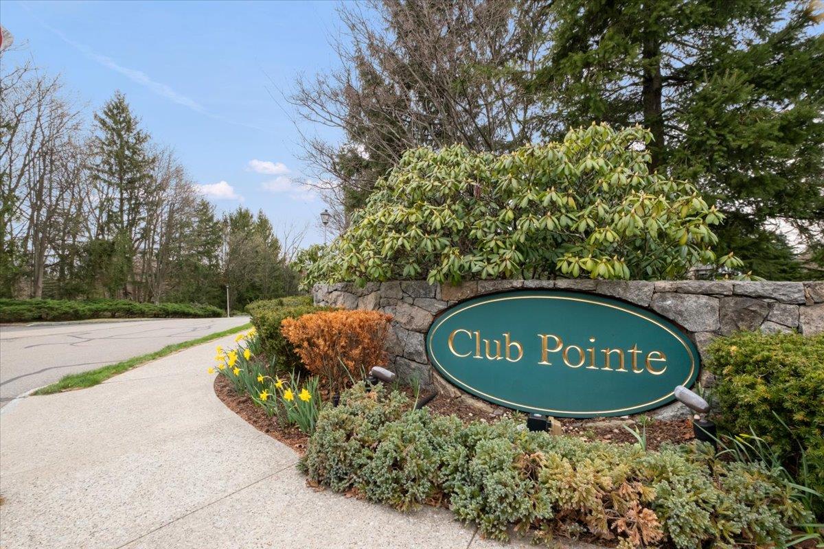 95 Club Pointe Drive, White Plains, New York image 1