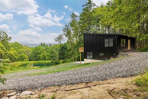 Homes For Sale - 132-134 Irish Cape Road<br/> Napanoch, NY 12458