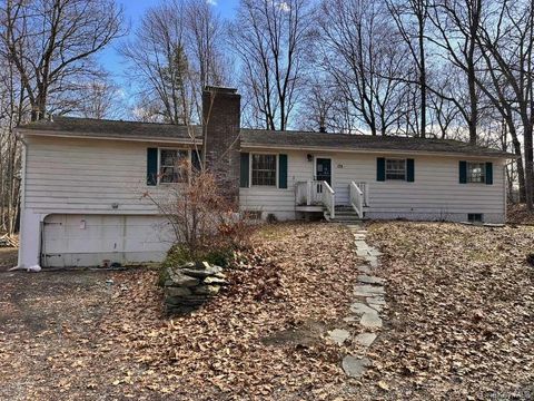 Homes For Sale - 179 Roosevelt Road<br/> Hyde Park, NY 12538