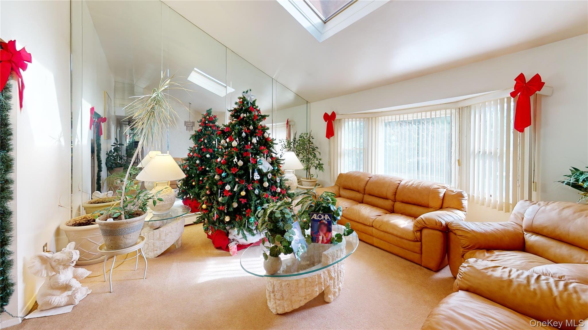 15 Amityville Street