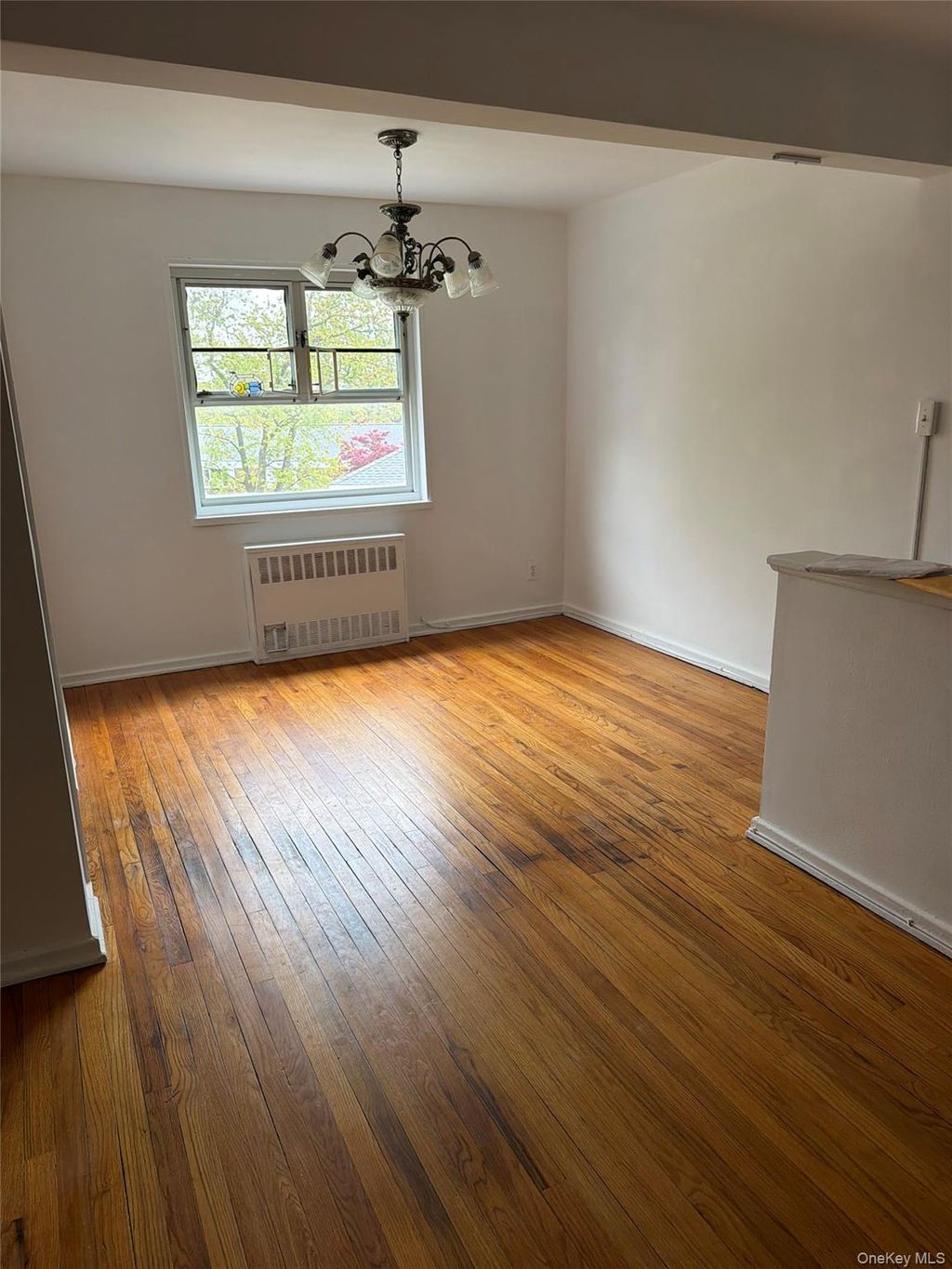 Photo of 228-14 stronghurst Avenue #Upper, Queens Village, NY 11427 (MLS # 994091)