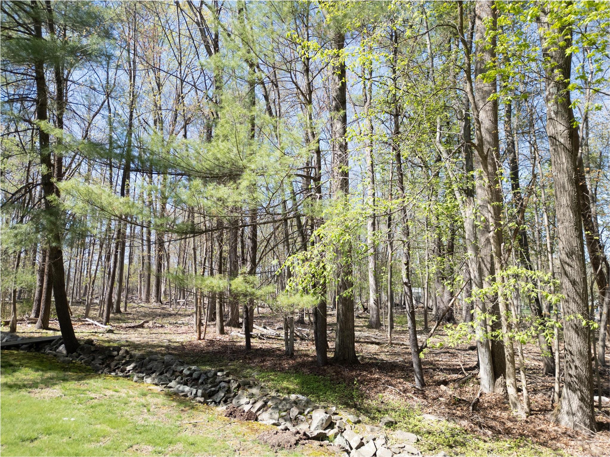 61 Reinhardt Road, Middletown, New York image 23