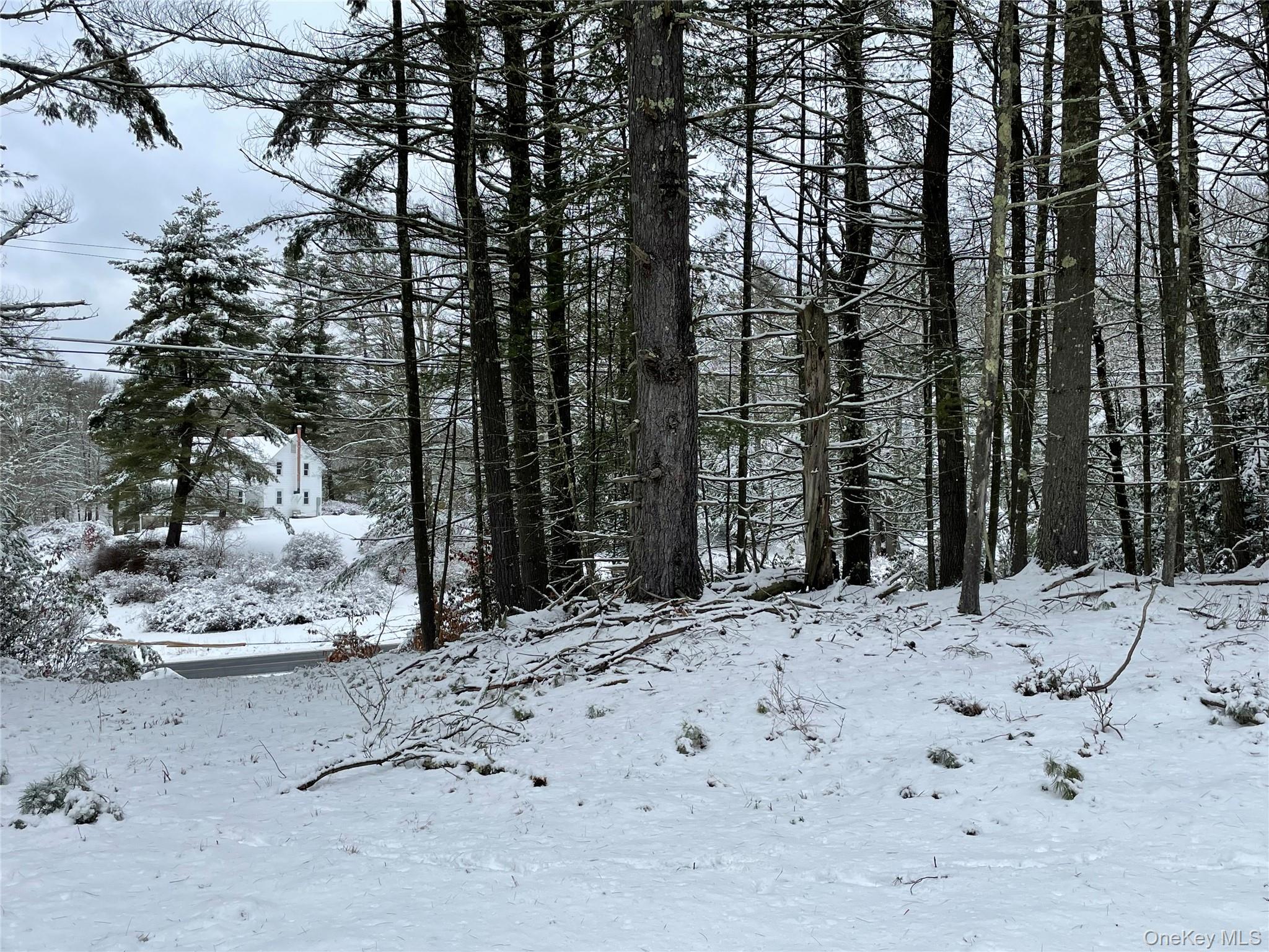 1315 Sackett Lake Rd