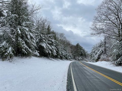 1315 Sackett Lake Rd Forestburgh NY 12777