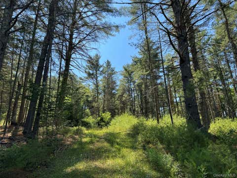 Homes For Sale - 1315 Sackett Lake Rd Rd<br/> Forestburgh, NY 12777
