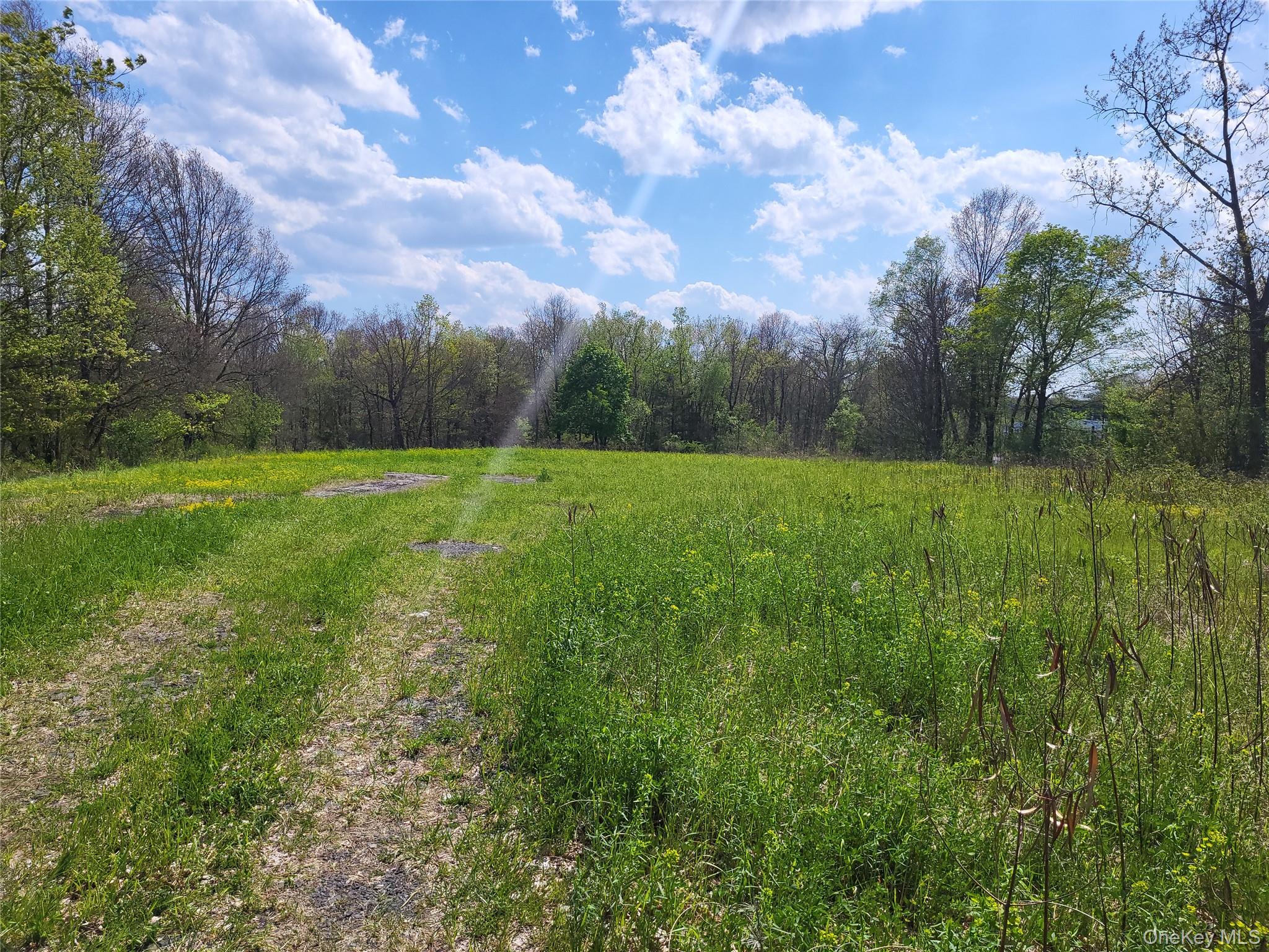 159 Bracken Road