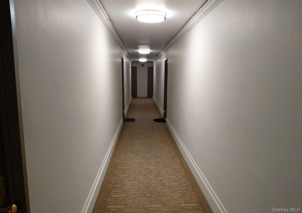 Photo of 1019 Van Siclen Avenue #9-7L, Brooklyn, NY 11207 (MLS # 1053841)