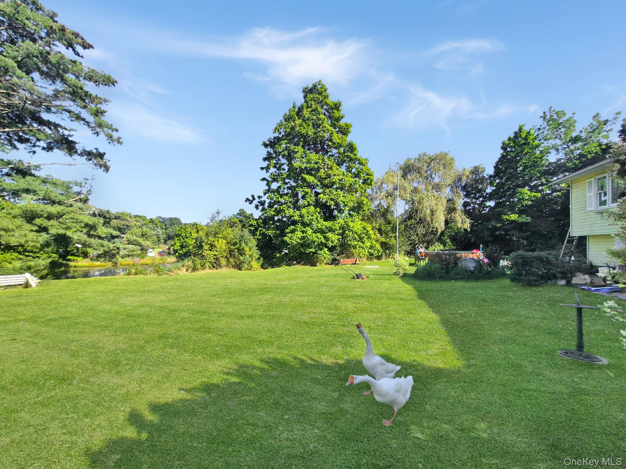 81 Old Unionville Road