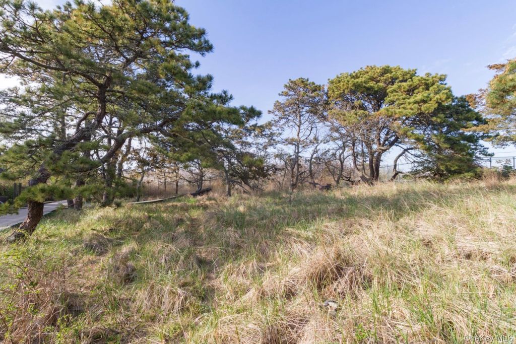 Photo of 91 Clipper Roadway, Corneille Estates, NY 11770 (MLS # 950926)