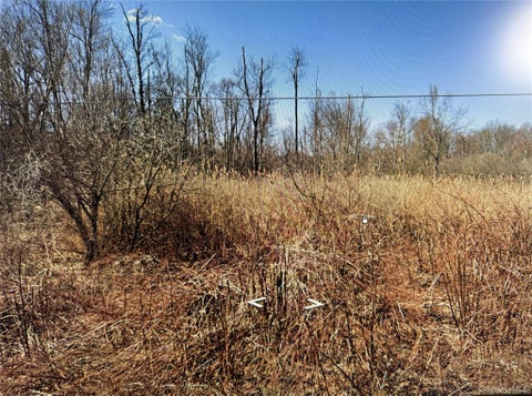 Vacant Land For Sale - Clove Road<br/> Blooming Grove, NY 10914