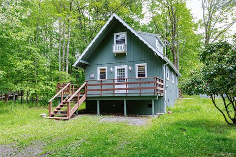 Homes For Sale - 7 Indian Lake Road<br/> Sullivan County, Ferndale, NY 12734