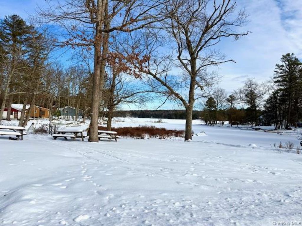 Photo of 195 W Mohican Trail, Glen Spey, NY 12737 (MLS # 947304)