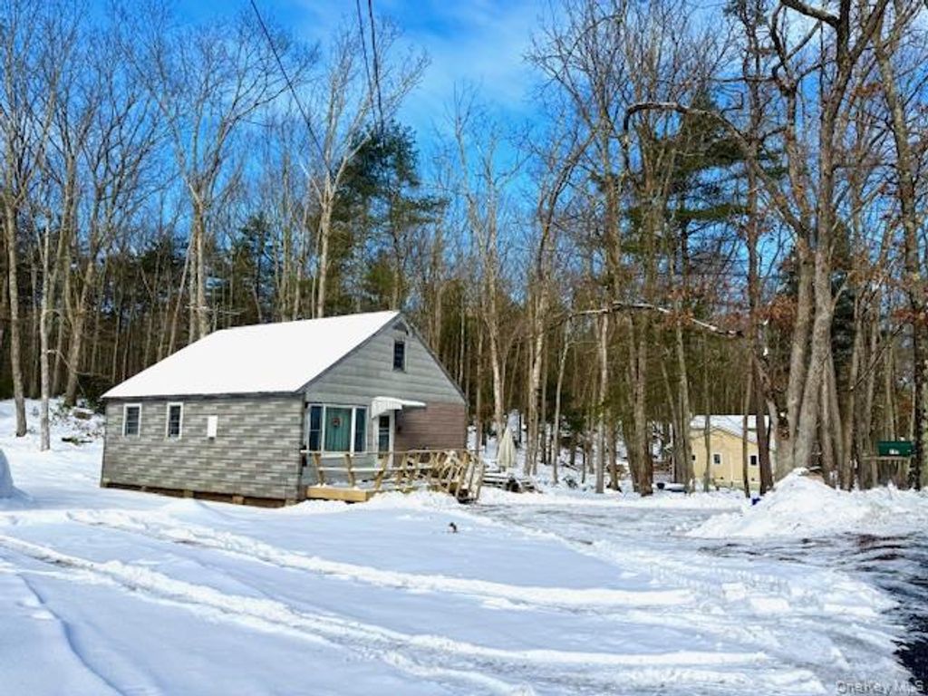 Photo of 195 W Mohican Trail, Glen Spey, NY 12737 (MLS # 947304)