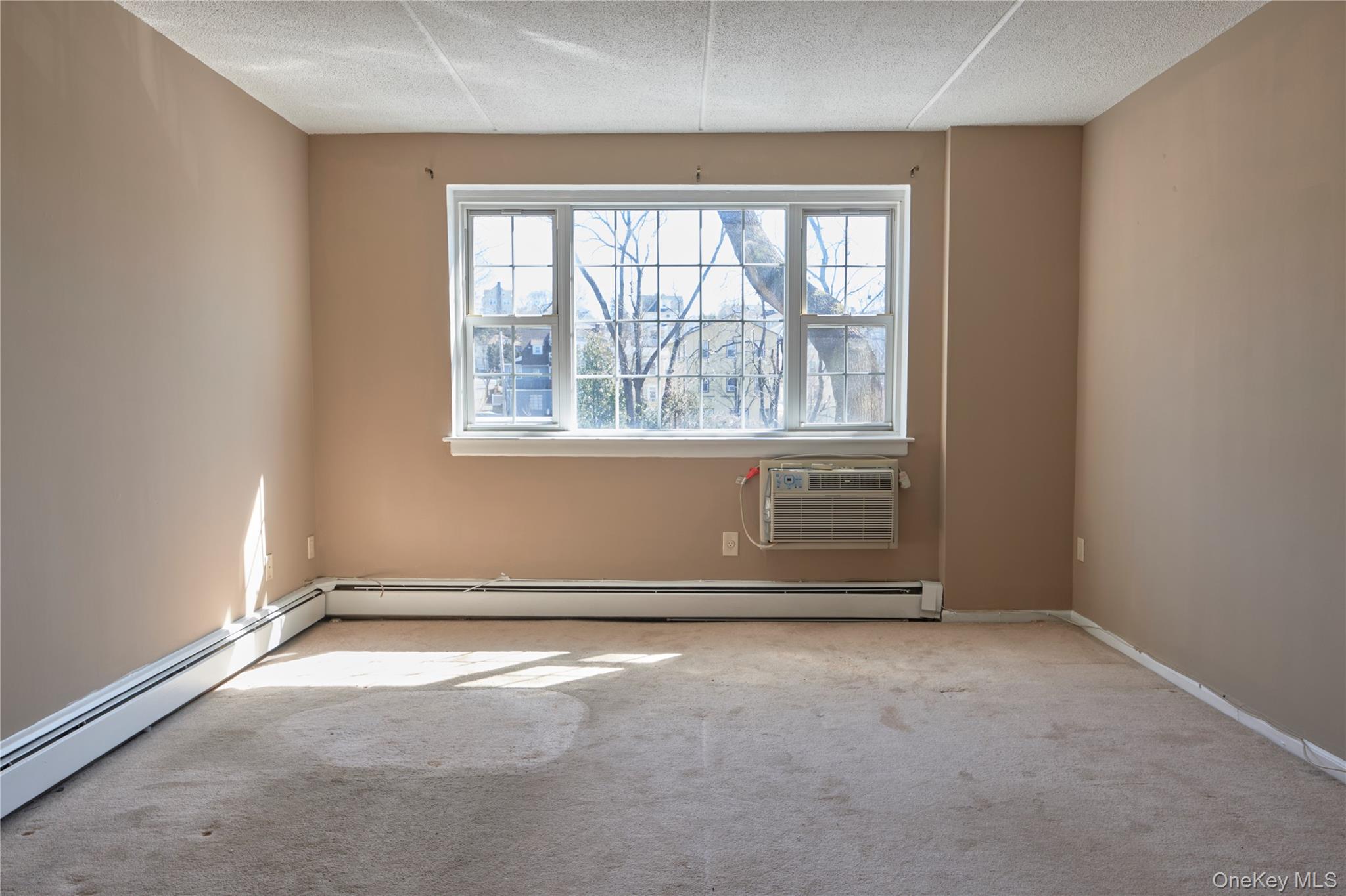 2 Consulate Drive 1J