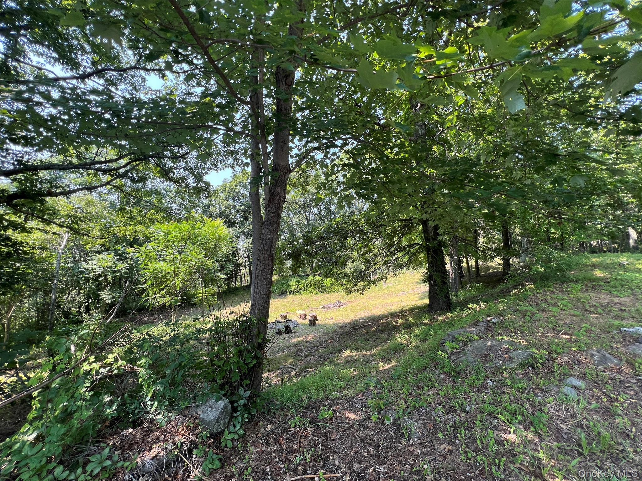 Lagrangeville, New York 12540, United States, 5 Bedrooms Bedrooms, ,4 BathroomsBathrooms,Residential,Active,188917