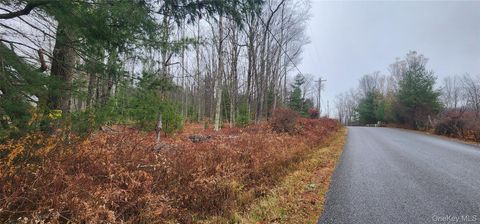 Vacant Land For Sale - Thompson Road<br/> Thompsonville, NY 12784