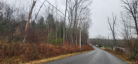 Thompson Road Thompsonville NY 12784