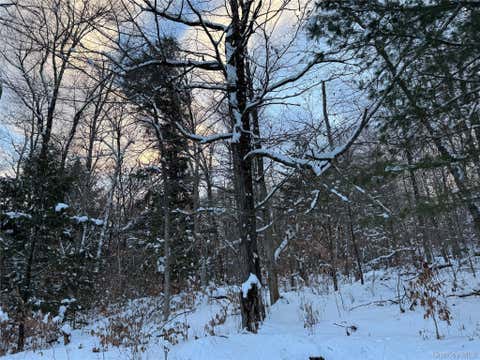 Vacant Land For Sale - 00 Starlight Road<br/> Monticello, NY 12701