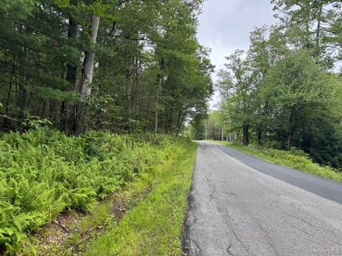 Vacant Land For Sale - 00 Starlight Road<br/> Monticello, NY 12701