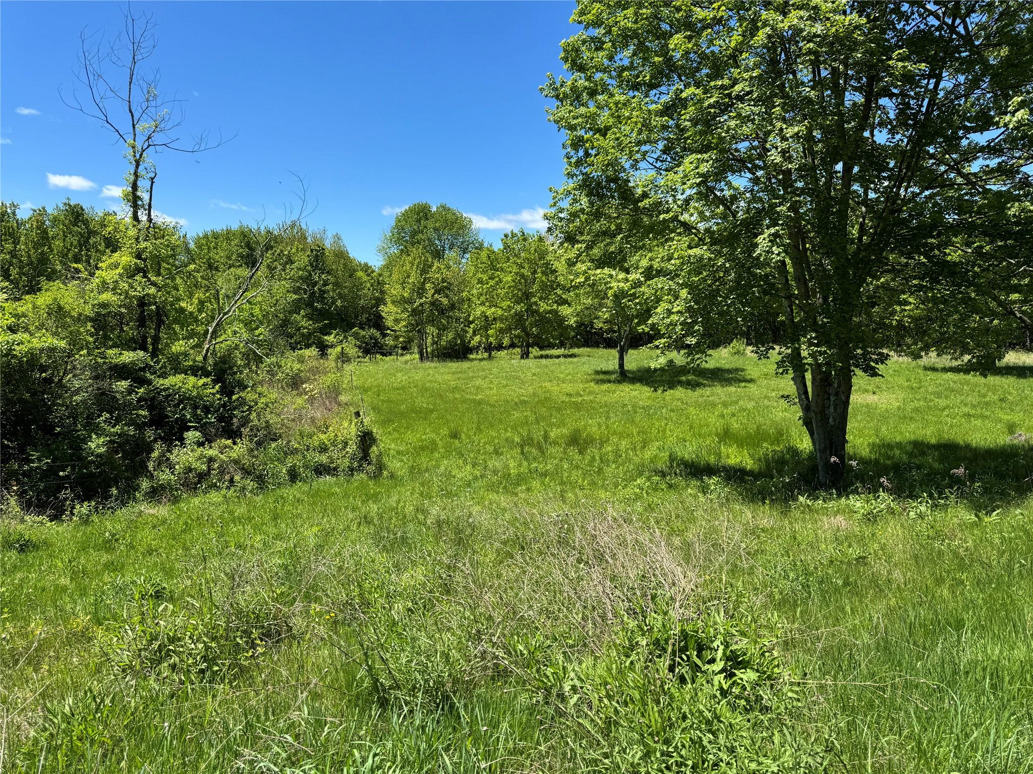 TBD Stanford Road, Millbrook, New York image 2