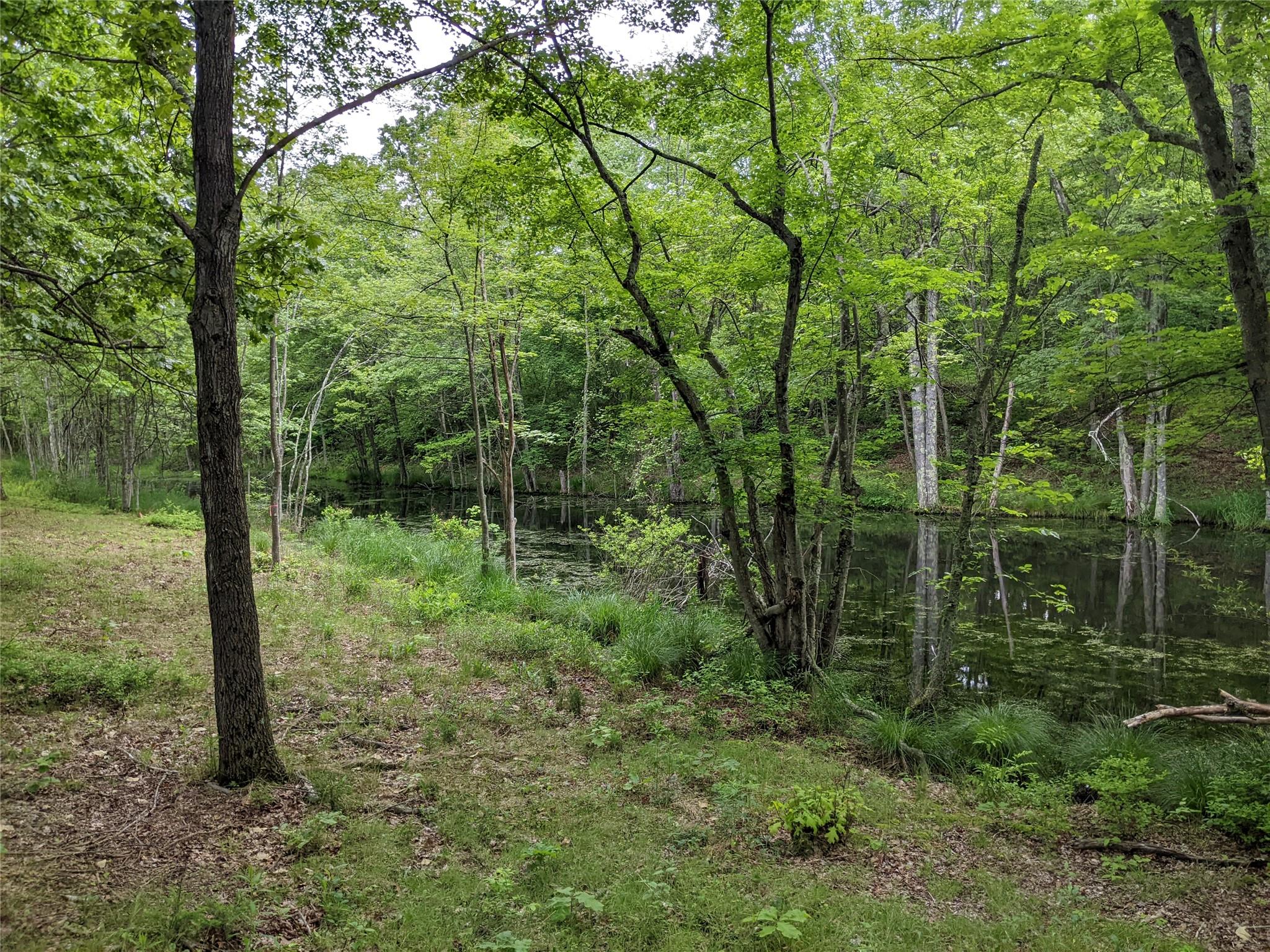 TBD Stanford Road, Millbrook, New York image 6