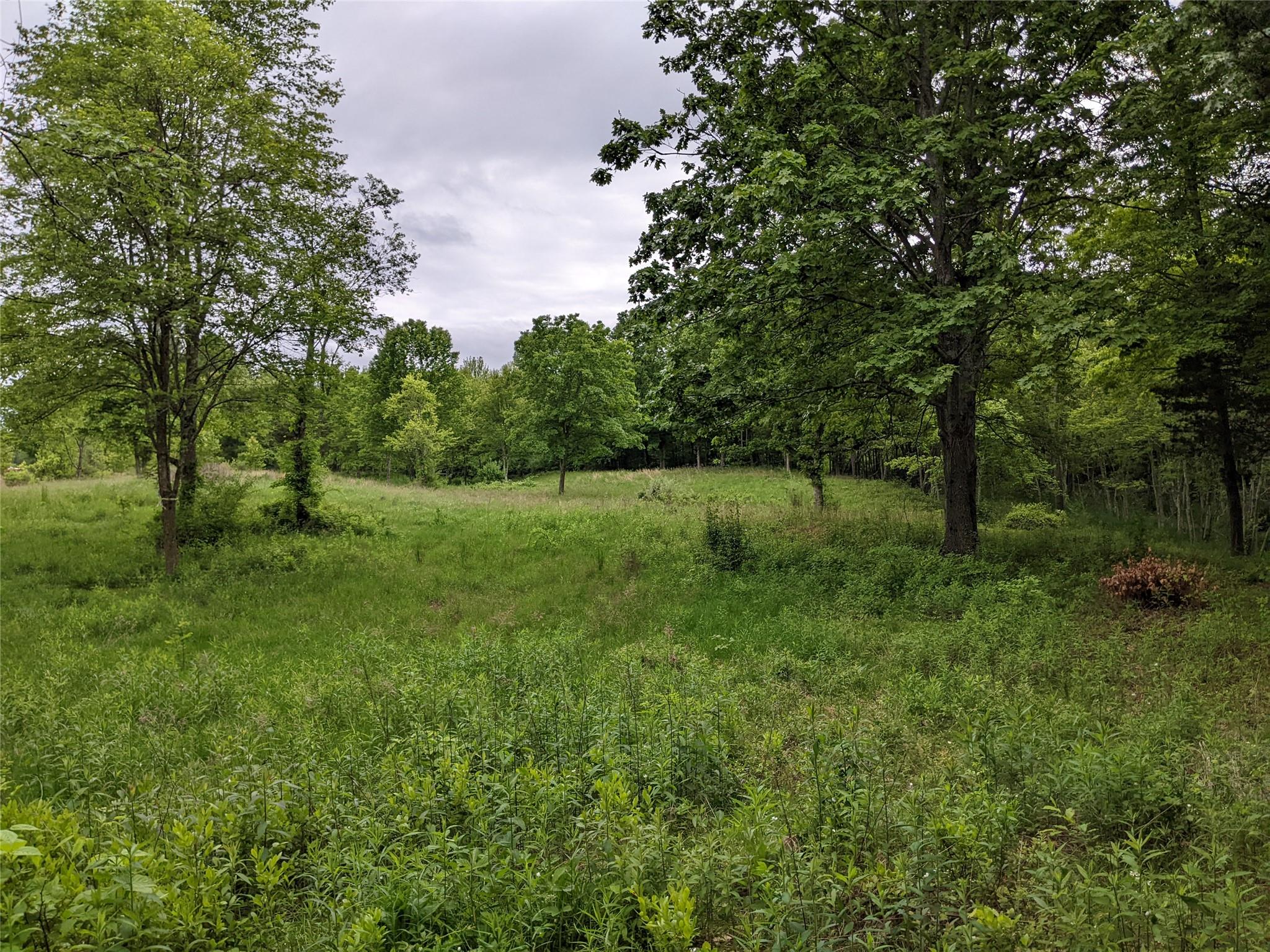 TBD Stanford Road, Millbrook, New York image 4
