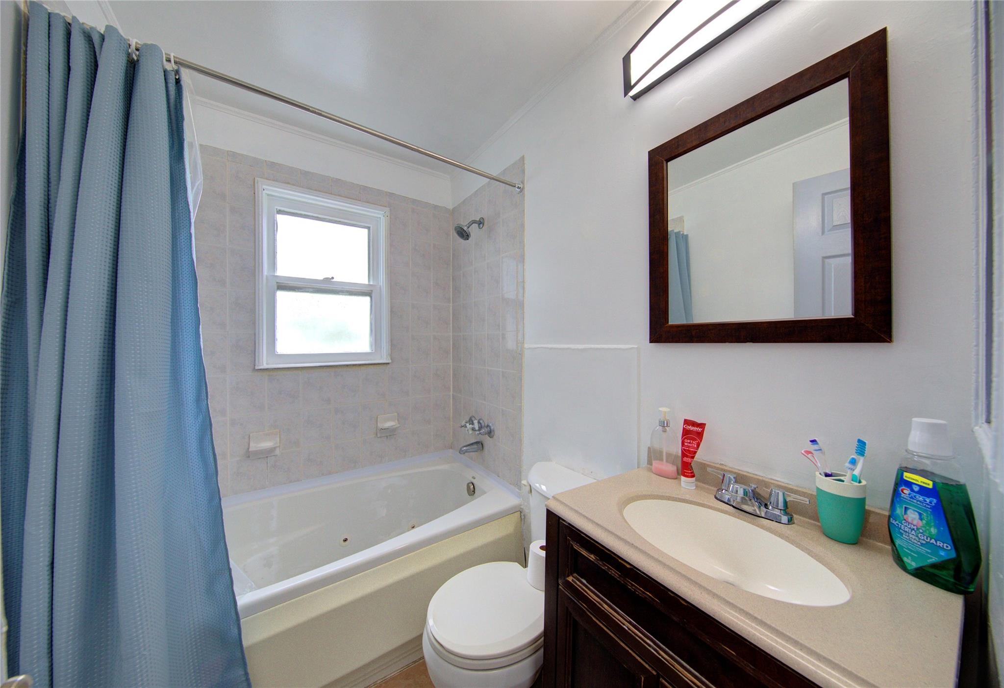 465 Eureka Avenue, Elmont, New York image 12