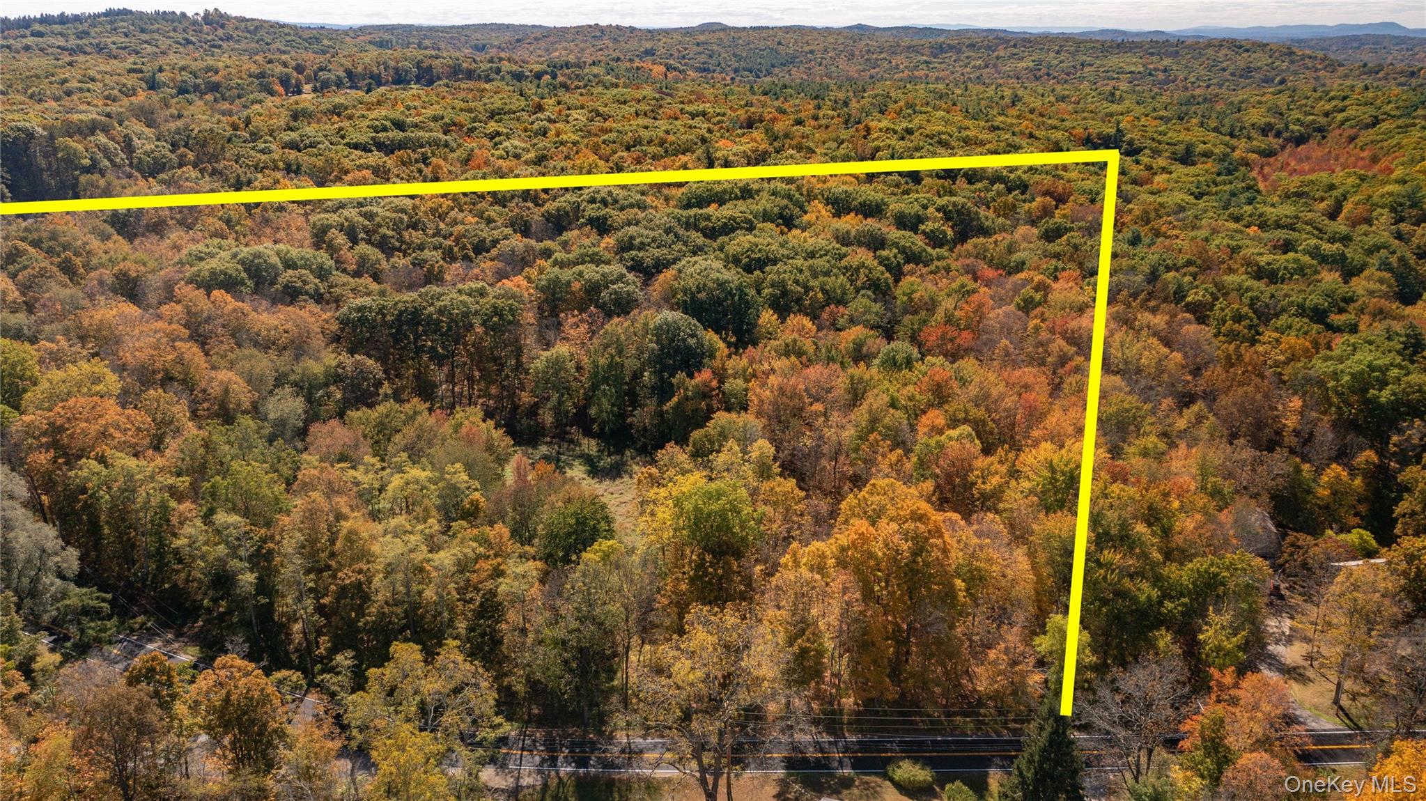 Rhinebeck, New York 12572, United States, ,Land,Active,229729